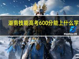 湖南技能高考600分能上什么学校