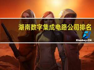 湖南数字集成电路公司排名