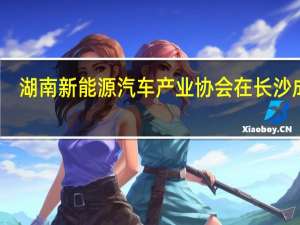 湖南新能源汽车产业协会在长沙成立