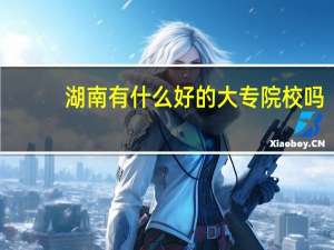 湖南有什么好的大专院校吗