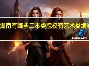 湖南有哪些二本类院校有艺术类编导专业