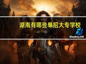 湖南有哪些单招大专学校