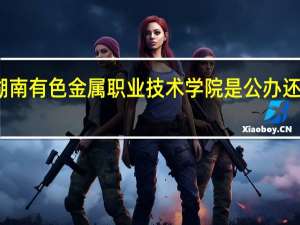 湖南有色金属职业技术学院是公办还是民办