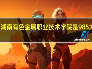 湖南有色金属职业技术学院是985大学吗