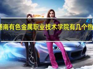湖南有色金属职业技术学院有几个热门专业