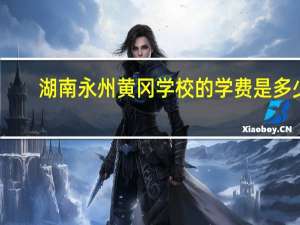 湖南永州黄冈学校的学费是多少