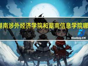 湖南涉外经济学院和湖南信息学院哪个好些