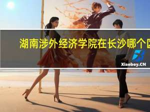 湖南涉外经济学院在长沙哪个区