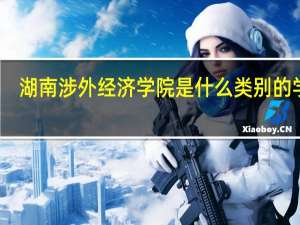 湖南涉外经济学院是什么类别的学校