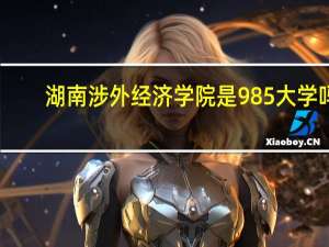 湖南涉外经济学院是985大学吗