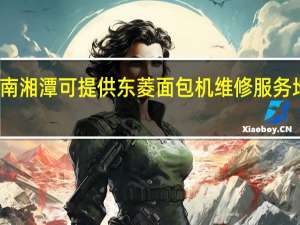 湖南湘潭可提供东菱面包机维修服务地址在哪