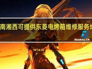 湖南湘西可提供东菱电烤箱维修服务地址在哪