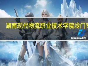 湖南现代物流职业技术学院冷门专业