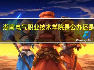 湖南电气职业技术学院是公办还是民办