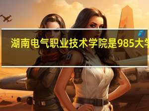湖南电气职业技术学院是985大学吗