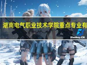 湖南电气职业技术学院重点专业有哪些