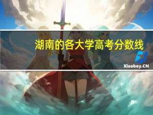 湖南的各大学高考分数线