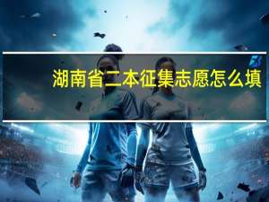 湖南省二本征集志愿怎么填