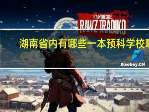 湖南省内有哪些一本预科学校啊