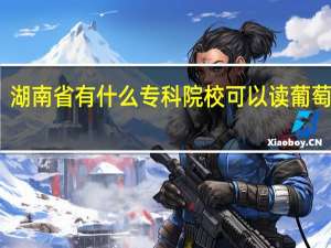 湖南省有什么专科院校可以读葡萄牙语
