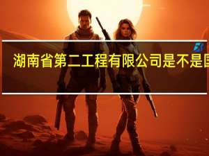 湖南省第二工程有限公司是不是国企