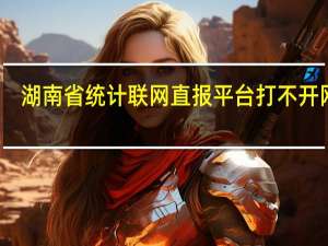 湖南省统计联网直报平台打不开网站（湖南统计联网直报）