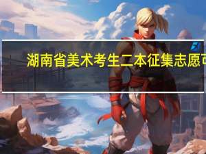 湖南省美术考生二本征集志愿可