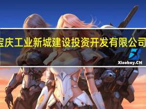 湖南省邵阳市宝庆工业新城建设投资开发有限公司原总经理石世伟被查