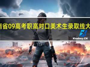 湖南省09高考职高对口美术生录取线大概是多少