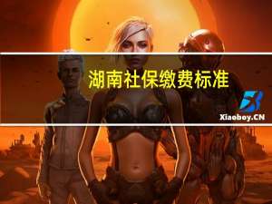 湖南社保缴费标准
