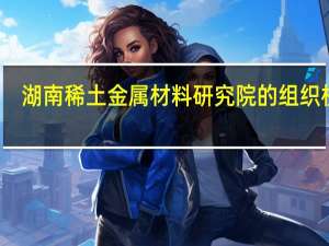湖南稀土金属材料研究院的组织机构