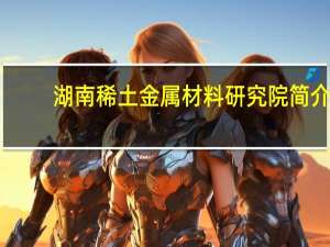 湖南稀土金属材料研究院简介