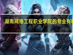 湖南网络工程职业学院的专业有哪些