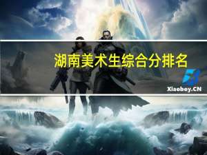 湖南美术生综合分排名