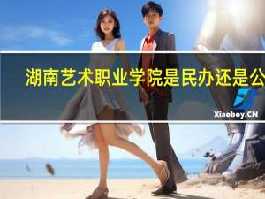 湖南艺术职业学院是民办还是公办