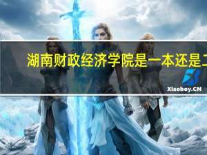 湖南财政经济学院是一本还是二