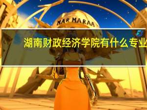 湖南财政经济学院有什么专业