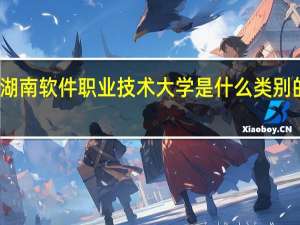 湖南软件职业技术大学是什么类别的学校