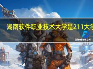 湖南软件职业技术大学是211大学吗