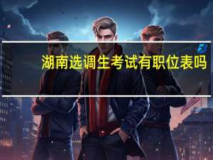 湖南选调生考试有职位表吗