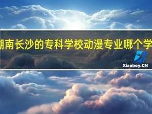 湖南长沙的专科学校动漫专业哪个学校好些