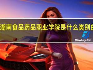 湖南食品药品职业学院是什么类别的学校