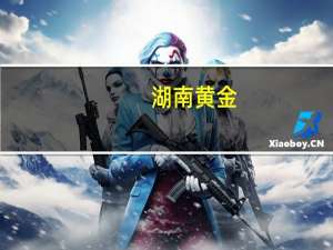 湖南黄金：李中平董事辞职