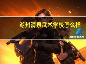 湖州清泉武术学校怎么样