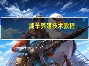 湖羊养殖技术教程（湖羊养殖技术）