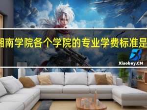湘南学院各个学院的专业学费标准是怎样的