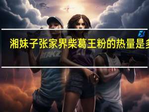 湘妹子 张家界 柴葛王粉的热量是多少