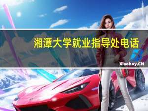 湘潭大学就业指导处电话（湘潭大学职业技术学院劳动服务公司简介）