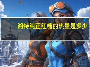 湘特 纯正红糖的热量是多少