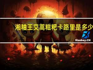 湘粬王 艾蒿糍粑卡路里是多少